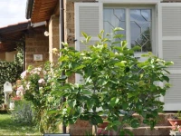 B&B Menica Marta Country House 