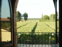 Locanda Merlaschio 
