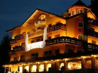Alp Wellness Sport Hotel Panorama 