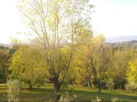 La Giassara 