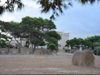 Appartamenti la Pinetina di Favignana 
