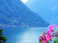 Isola Bella 