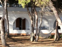 Pineta Favignana 