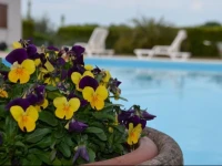 B&B Edelweiss 