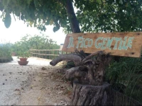 B&B Il Fico Gentile 