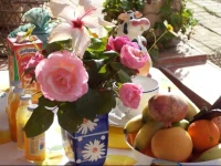 La Yucca B&B 