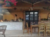 Agriturismo Il Moro degli Alpaca 