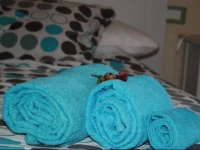 B&B Bernini 