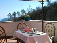B&B Segni e Impronta 