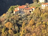 Encanto Di Arlia 