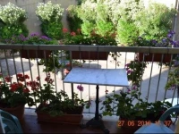 Albergo Cinzia 