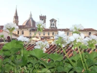 Appartamento Nel cuore di Firenze 