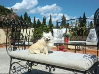 Argentiere B&B Appartamenti 
