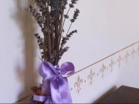 Florence Guest house 