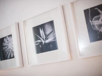 Principi Apartment 