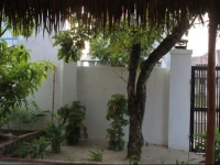 Anbang Banyan 