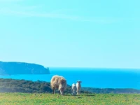 Agriturismo Il Ginepro 