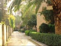 Il Giardino In CittГ  