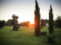 Masseria Pietrafitta 
