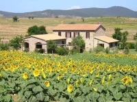 Casale Sugherino 