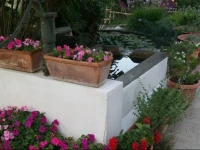 B&B La Casa Bianca 