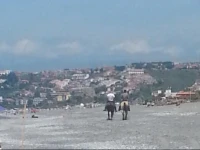 Appartamento la Villetta 