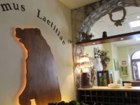 Domus Laetitiae 