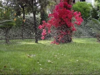 B&B Villa Fantasia 
