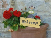 Hotel Le Noci 
