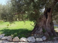 Villetta Via Lecce 