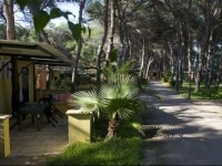 Camping La Vecchia Torre 