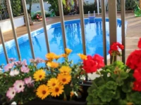 Casa Vacanze Fiore 