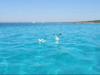 Mistral Exclusive B&B 