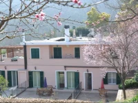 Ulivi e Corbezzoli 