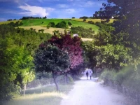 Oasi delle Gazze 