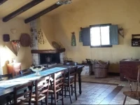 Tenuta Grea 