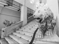 NEL CUORE DI GENOVA LOMELLINI 2 