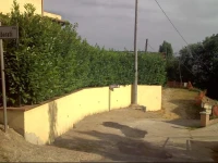 Nuvolari B&B 