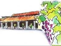 Il Vigneto B&B 