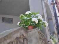 Casa Calle del Forno 