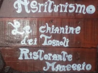Le chianine dei Tognoli 