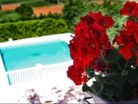 Miramurgia B&B 