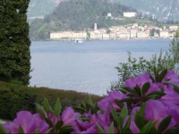 Charming Glicine and Azalea House Art and Colour with lakeview 