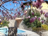 B&B Villa Mirtilla 