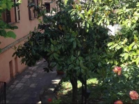 Ca Iachini b&b 
