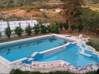 Il Pettirosso B&B 