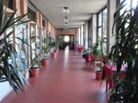 Hotel Beniamino Ubaldi 