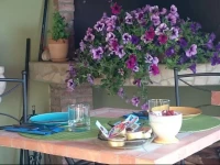 B&B Domus Vista 