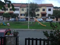 LAgrifoglio 