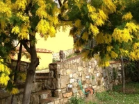 Il Casalone 